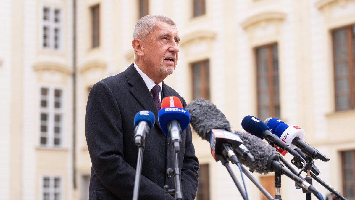 PŘEHLEDNĚ: Co nás čeká s Babišovou vládou podle jejího programu